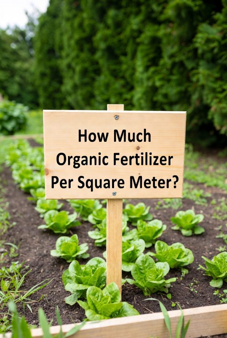 How Much Organic Fertilizer Per Square Meter?